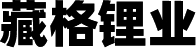 藏格鋰業(yè)